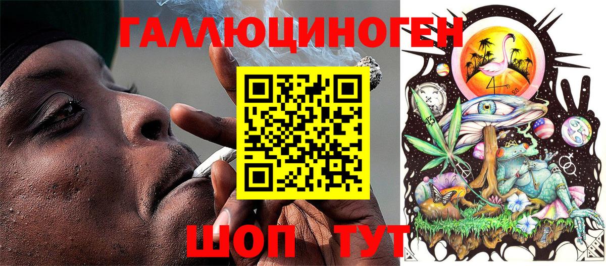 Псилоцибиновые грибы Psilocybe Тихорецк