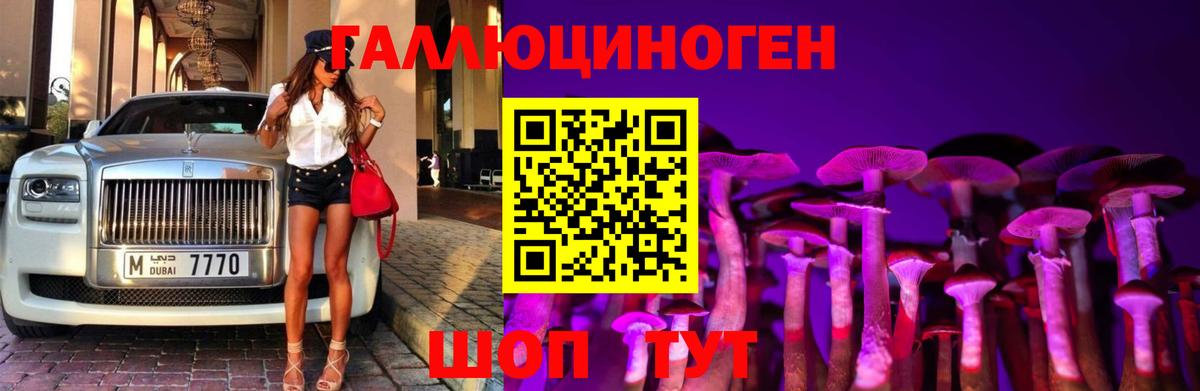 Галлюциногенные грибы прущие грибы  Вход с VPN  Тихорецк 